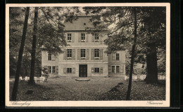 AK Schwarzburg, Jagdschloss Fasanerie Im Hochwald  - Autres & Non Classés
