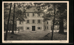 AK Schwarzburg, Jagdschloss Fasanerie Im Hochwald  - Andere & Zonder Classificatie