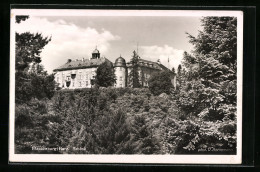 AK Blankenburg /Harz, Blick Auf Das Schloss  - Other & Unclassified