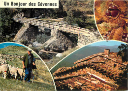 30 LES CEVENNES MULTIVUES - Autres & Non Classés