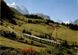 Wengernalpbahn Mit Jungfrau (122) * 14. 6. 1979 - Wengen