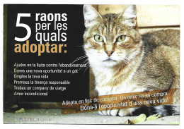 GATOS - CAT'S - CHAT.- PUBLICIDAD DE ADOPCION - Katzen