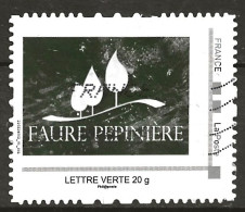 Collector Faure Pépinière - Collectors