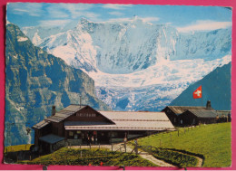 Visuel Très Peu Courant - Suisse - Grindelwald First - Fiescherhörner - Fieschergletscher - 1967 - Grindelwald