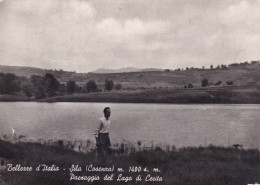 Cartolina Sila ( Cosenza ) Paesaggio Del Lago Di Cecita - Cosenza