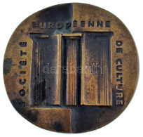 Franciaország DN "Európai Kulturális Társaság" Bronz Emlékérem Eredeti Dísztokban (90mm) T:AU Patina France ND "Société  - Unclassified
