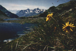 38 LES-SEPT-LAUX GRAND PIC DE BELLEDONNE LE LAC DE LA CORNE ET LE LAC DE LA SAGNE AU PRINTEMPS - Otros & Sin Clasificación