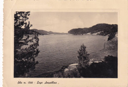 Cartolina Sila ( Cosenza ) Lago Ampollino - Cosenza