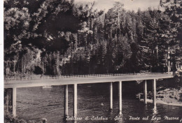 Cartolina Sila ( Cosenza ) Ponte Sul Lago Mucone - Cosenza