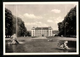 AK Schwetzingen, Blick Zum Schloss Mit Arion  - Schwetzingen