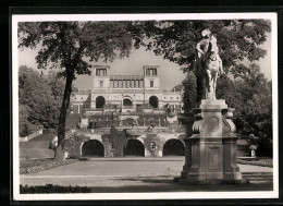 AK Potsdam, Orangerie U. Denkmal Friedrichs Des Grossen Im Schlosspark Sanssouci  - Altri & Non Classificati