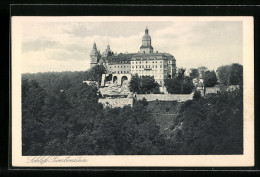 AK Ansicht Von Schloss Fürstenstein  - Sonstige & Ohne Zuordnung