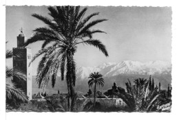 CP - MARRAKECH - Marrakesh