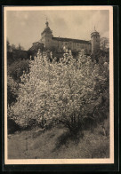 AK Würzburg, Die Feste Marienberg Im Frühling  - Andere & Zonder Classificatie