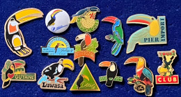 73734- Collection De 13 Pin's Toucan. Oiseau. - Animals