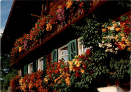 Altes Bauernhaus In Wengen (275) * 10. 9. 1984 - Wengen