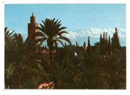 CPM - MARRAKECH - Marrakesh