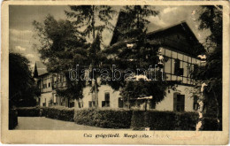 Delcampe - T3 1942 Csízfürdő, Kúpele Cíz; Margit Villa (felszíni Sérülések / Surface Damage) - Non Classés