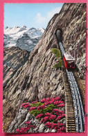 Suisse - Pilatusbahn - Eselwand Und Berneralpen - 1960 - Altri & Non Classificati