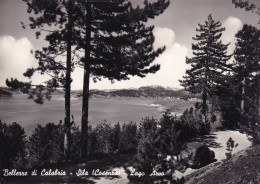 Cartolina Sila ( Cosenza ) Lago Arvo - Cosenza