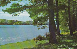 AK 214074 USA - Wisconsin - Eagle River - Cranberry Lake - Other & Unclassified