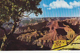 AK 214075 USA - Arizona - Grand Canyon National Park - Grand Canyon