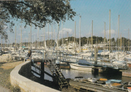Postcard The Marina Lymington Hampshire [ Boats ]  My Ref B26517 - Andere & Zonder Classificatie