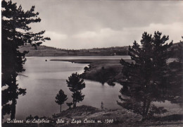 Cartolina Sila ( Cosenza ) Lago Cecita - Cosenza