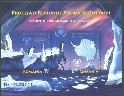 ARCTIC-ANTARCTIC, ROMANIA 2009 PRESERVATION OF POLAR REGIONS S/S OF 2** - Préservation Des Régions Polaires & Glaciers