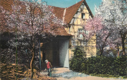 Postcard Belgium Orchard And Stable - Sonstige & Ohne Zuordnung