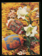 3D-AK Easter Eggs And Lilies  - Photographs