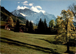 Wengen Mit Jungfrau (3823) * 3. 9. 1984 - Wengen