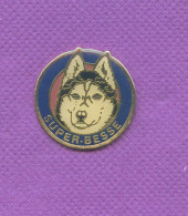 Rare Pins Chien Husky Super Besse Z505 - Animals