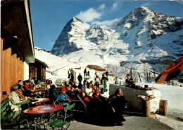 Hotel Jungfrau - Wengernalp (115) * 12. 2. 1982 - Wengen