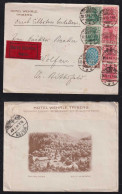 Deutsches Reich 1919 EXPRESS Brief TRIBERG X WOLFEN Werbung Hotel Wehrle - Lettres & Documents