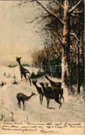 T2/T3 1905 Deer In The Forest (EK) - Ohne Zuordnung