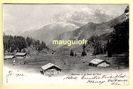 SUISSE / VALAIS VS / CHAMPÉRY /  BARMAZ ET LA DENT DU MIDI / 1902 - Champéry