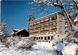 Hotel Am Waldrand - Wengen (296) * 23. 2. 1987 - Wengen