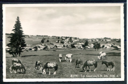 14101 Les Genevez J.B.  - Cheveaux Et Vaches Au Paturage (Chs Maillard - Hôtel Du Soleil) - Autres & Non Classés