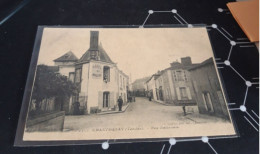 Carte Postale   N11  CHANTONNAY  Rue Nationale - Chantonnay