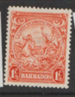 Barbados  1938 SG 250  1.1/2d  Perf  13.1/2    Mounted Mint - Barbades (...-1966)