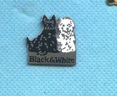 Rare Pins Whisky Black And White Chien Egf Z539 - Beverages