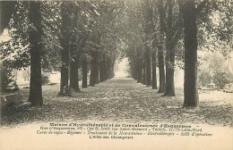 59 - Lille - Maison D'Hydrothérapie Et De Convalescence D'Esquermes - L'Allée Des Châtaigniers - CPA - Voir Scans Recto- - Lille