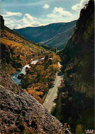 48 - Les Gorges Du Tarn - Aux Environs Des Vignes - CPM - Voir Scans Recto-Verso - Gorges Du Tarn