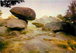 23 - Boussac - Environs De Boussac - Les Pierres Jaunatres - La Balançoire - CPM - Voir Scans Recto-Verso - Boussac