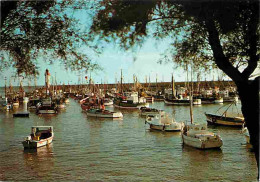 17 - Ile D'Oléron - Le Port De La Cotinière - Bateaux - CPM - Voir Scans Recto-Verso - Ile D'Oléron