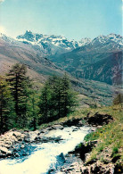 05 - Hautes Alpes - Col De Vars - Printemps Sur Les Cimes - Brec Du Chambeyron 3800m - CPM - Voir Scans Recto-Verso - Sonstige & Ohne Zuordnung