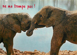 Animaux - Eléphants - Carte Humoristique - CPM - Etat Carte Croquée Sur Le Haut - Voir Scans Recto-Verso - Elefanten