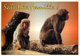Animaux - Singes - Macaque - Carte à Message - Carte Neuve - CPM - Voir Scans Recto-Verso - Singes