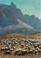 Animaux - Moutons - Transhumance - CPM - Voir Scans Recto-Verso - Altri & Non Classificati